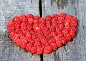 FRUTOS ROJOS