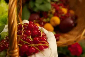 FRUTOS ROJOS