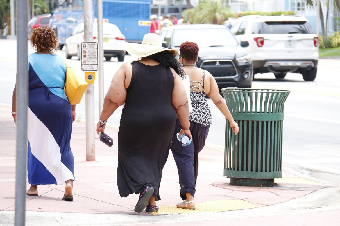 Saponinas: Protección contra el desarrollo de obesidad