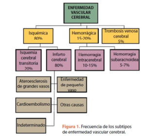 EVC tipos