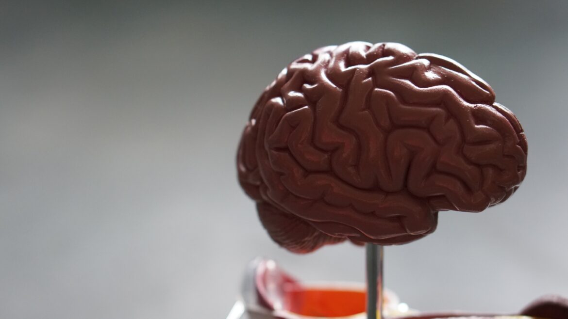 Accidente cerebrovascular: Un problema serio de salud