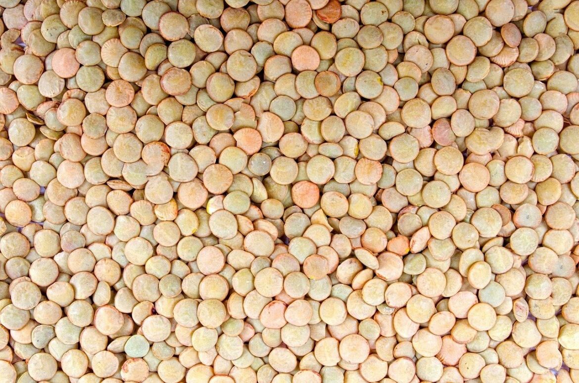 Propiedades de las lentejas: un poderoso alimento