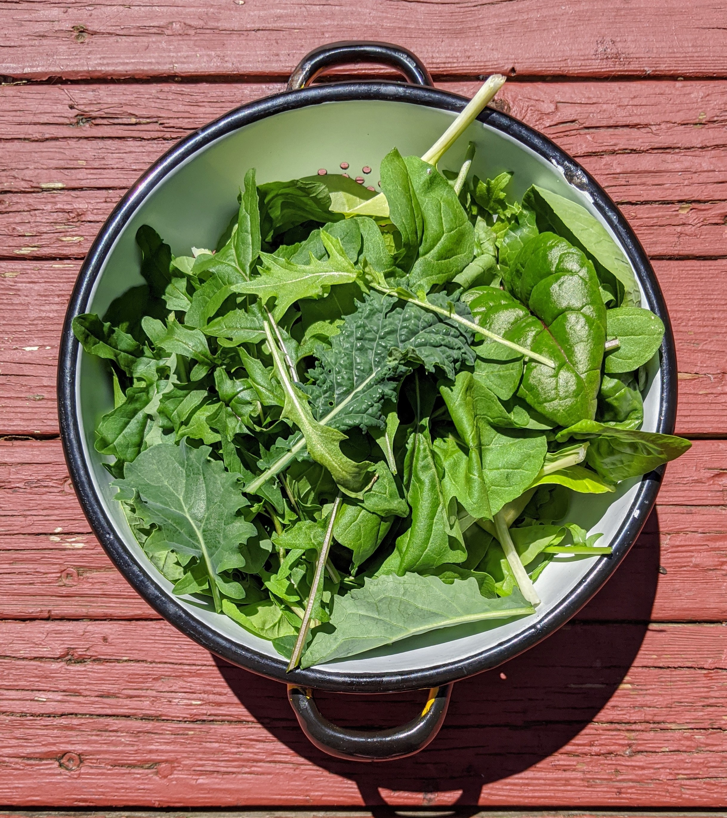 verduras de hoja verde