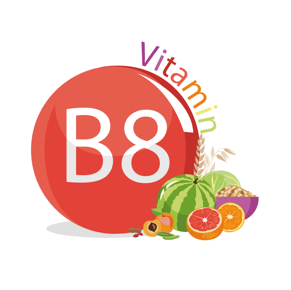 Vitamina b8 ¿Cuál es su papel e importancia para nosotros? Salud Diez